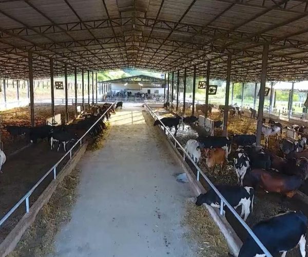 WhatsApp Image 2026-01-09 at 20.44.24