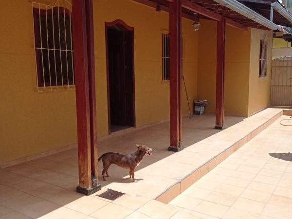 WhatsApp Image 2026-01-18 at 13.50.33 (1)