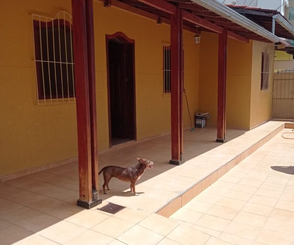 WhatsApp Image 2026-01-18 at 13.50.33 (1)