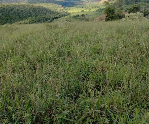 b7cec353-739f-4709-8ebf-2d5578ddf68f